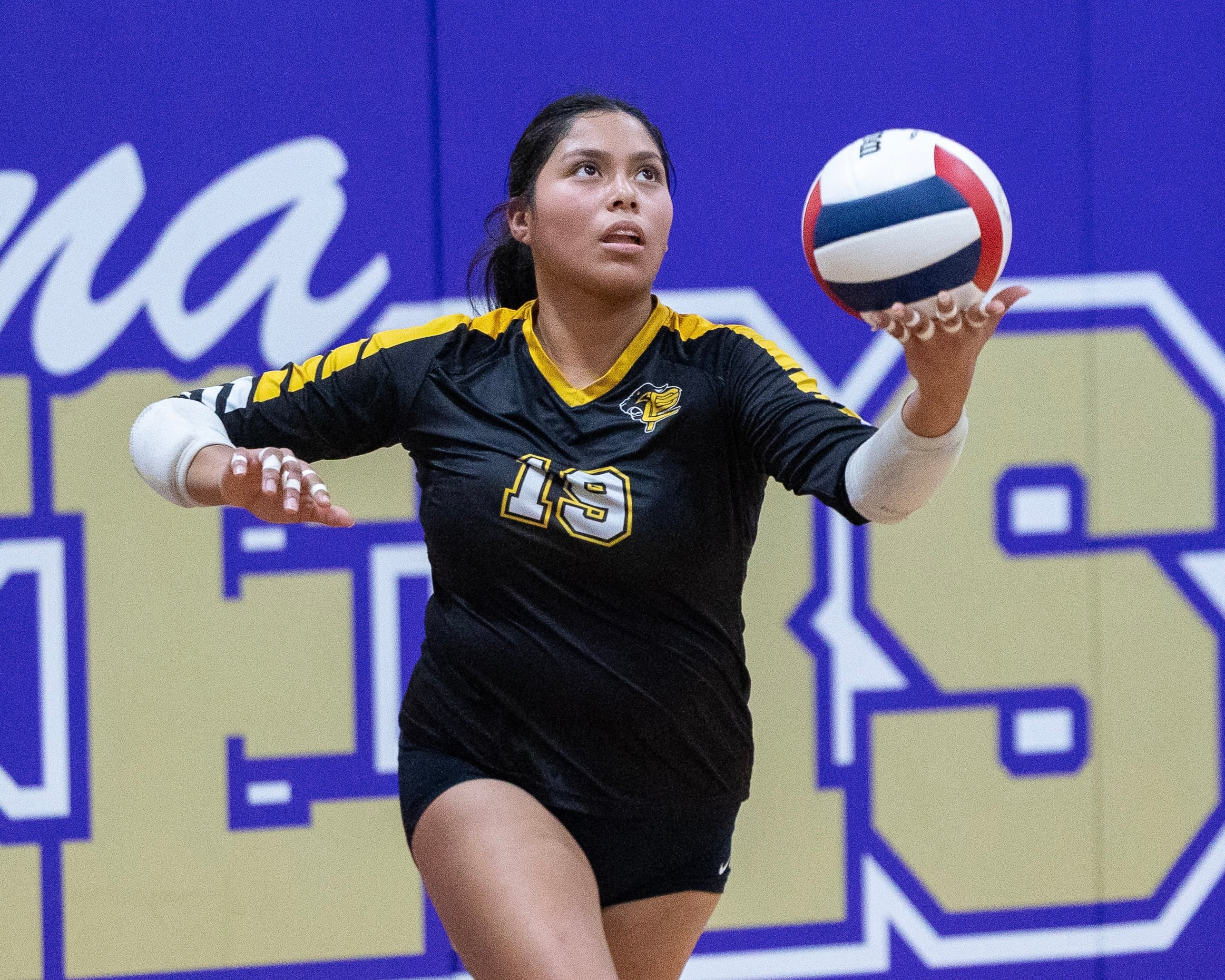 Putnam County volleyball falls in regional final: Thursday’s NewsTribune/BCR roundup — Barrington Community news
